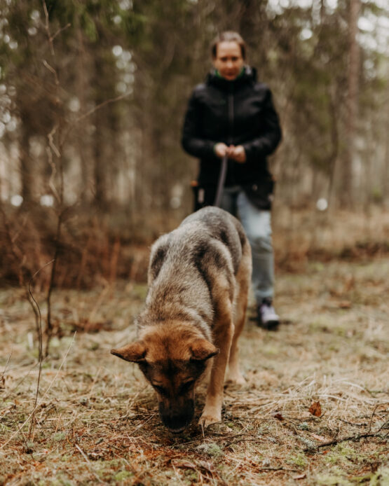 Verijälki POP-UP 28.5.2026 klo 17:30